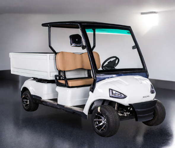 Eco-friendly utility golf carts exporter in India