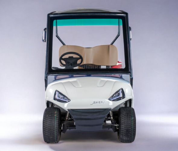 2 Seater Electric Golf Cart Manufacturer in India