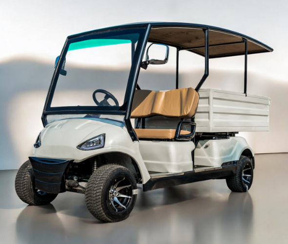 2 Seater Utility Golf Cart Exporter in India